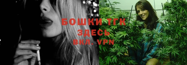 МДПВ Новозыбков