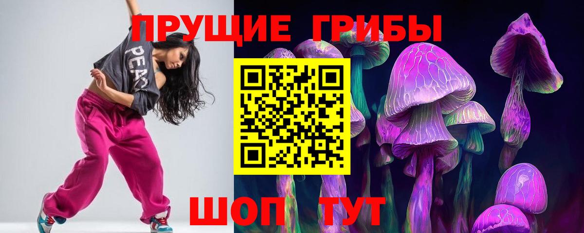 Псилоцибиновые грибы Psilocybine cubensis  Котельники 