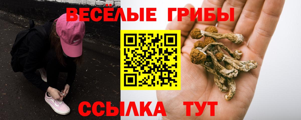 Котельники  Галлюциногенные грибы мицелий  Галлюциногенные грибы мицелий  Вход с VPN 