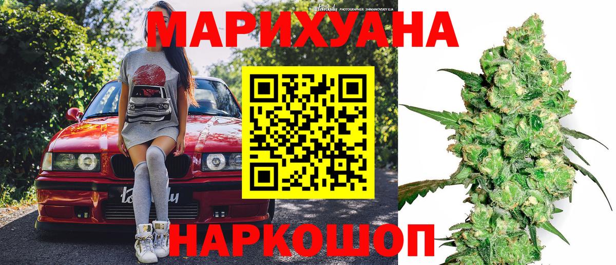 Конопля сатива Котельники